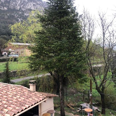Auberge De La Vallee Saint-Jean-de-Buèges エクステリア 写真